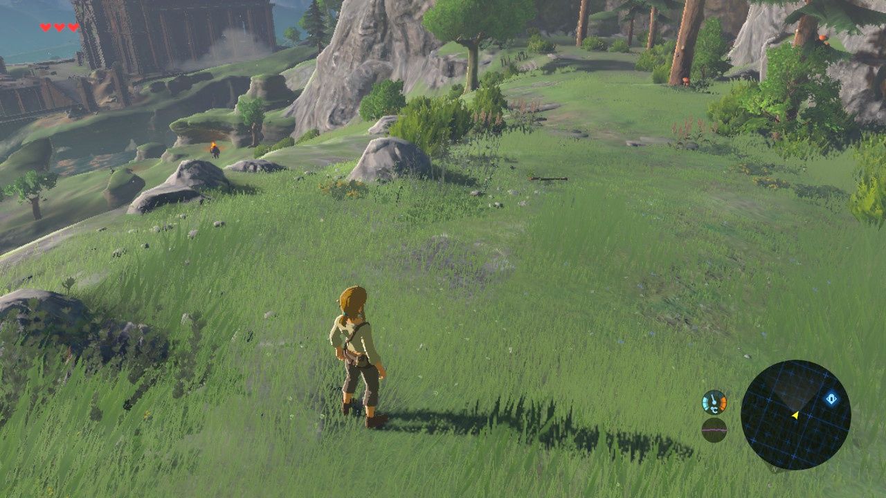 Legend of Zelda: Breath of the Wild - widok