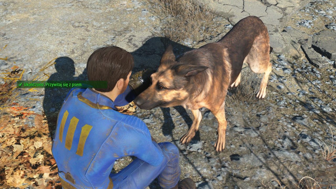 Fallout 4 - pies naszym kompanem