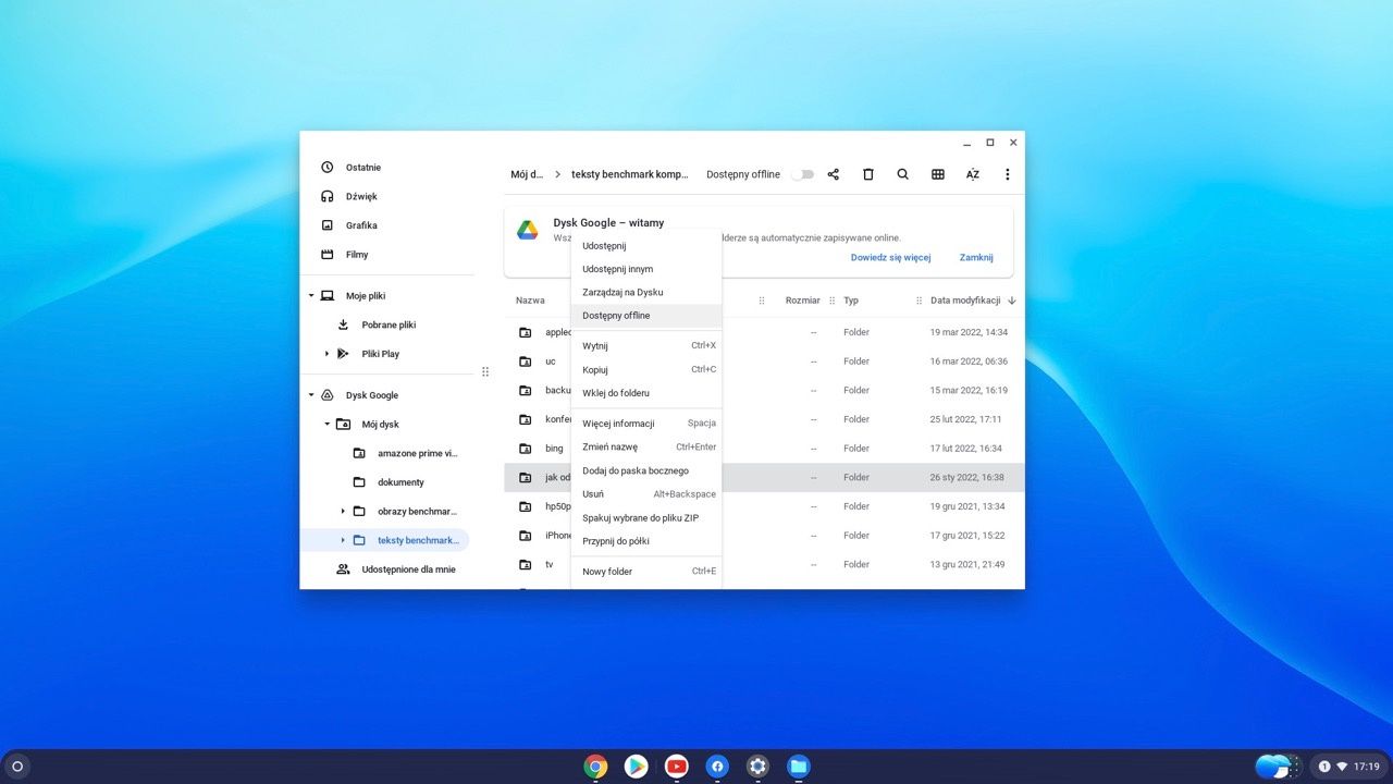 Chrome OS pliki