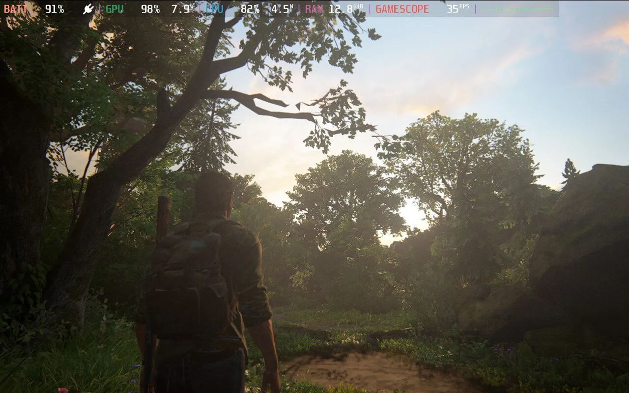 The Last of Us Part 1 - detale