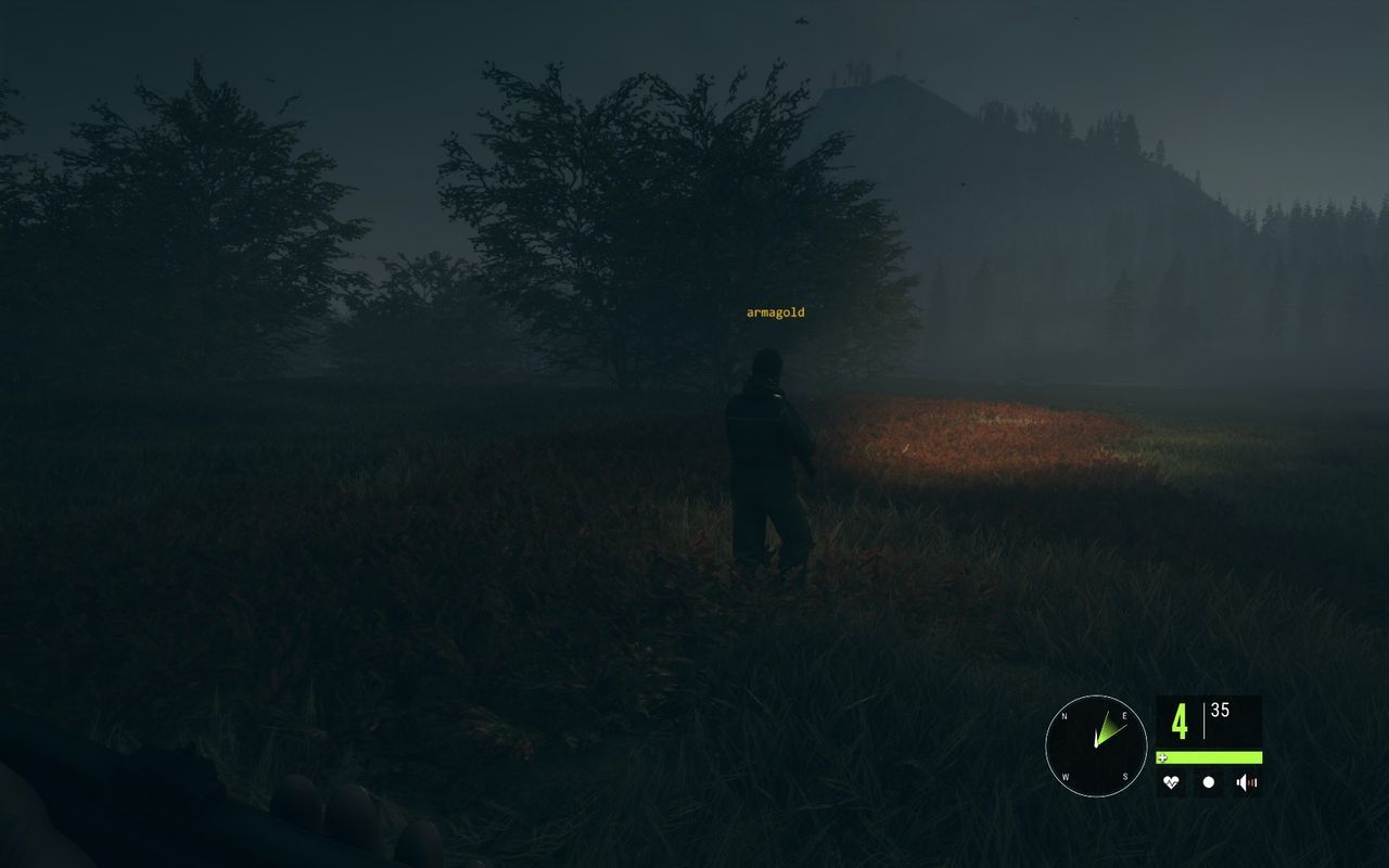 theHunter: Call of the Wild - rozgrywka wieloosobowa