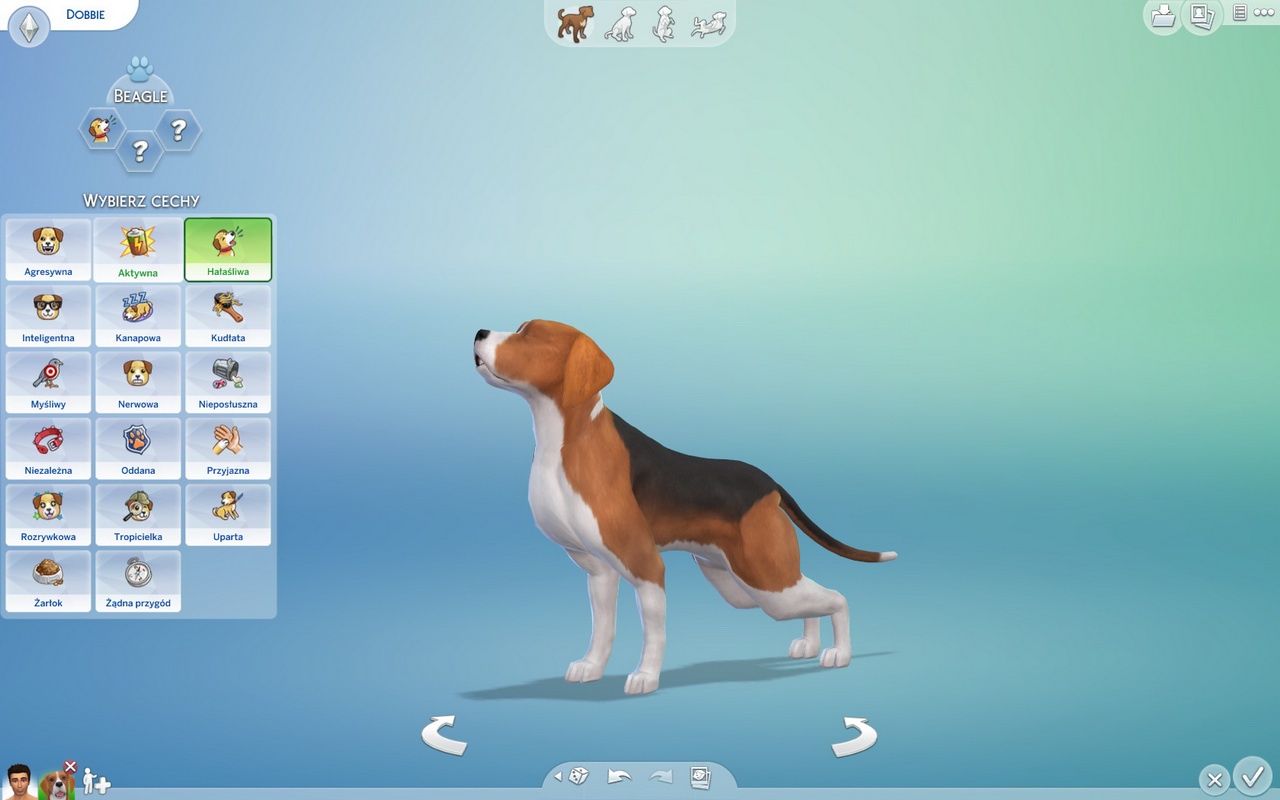 The Sims 4: Psy i koty - energetyczny beagle