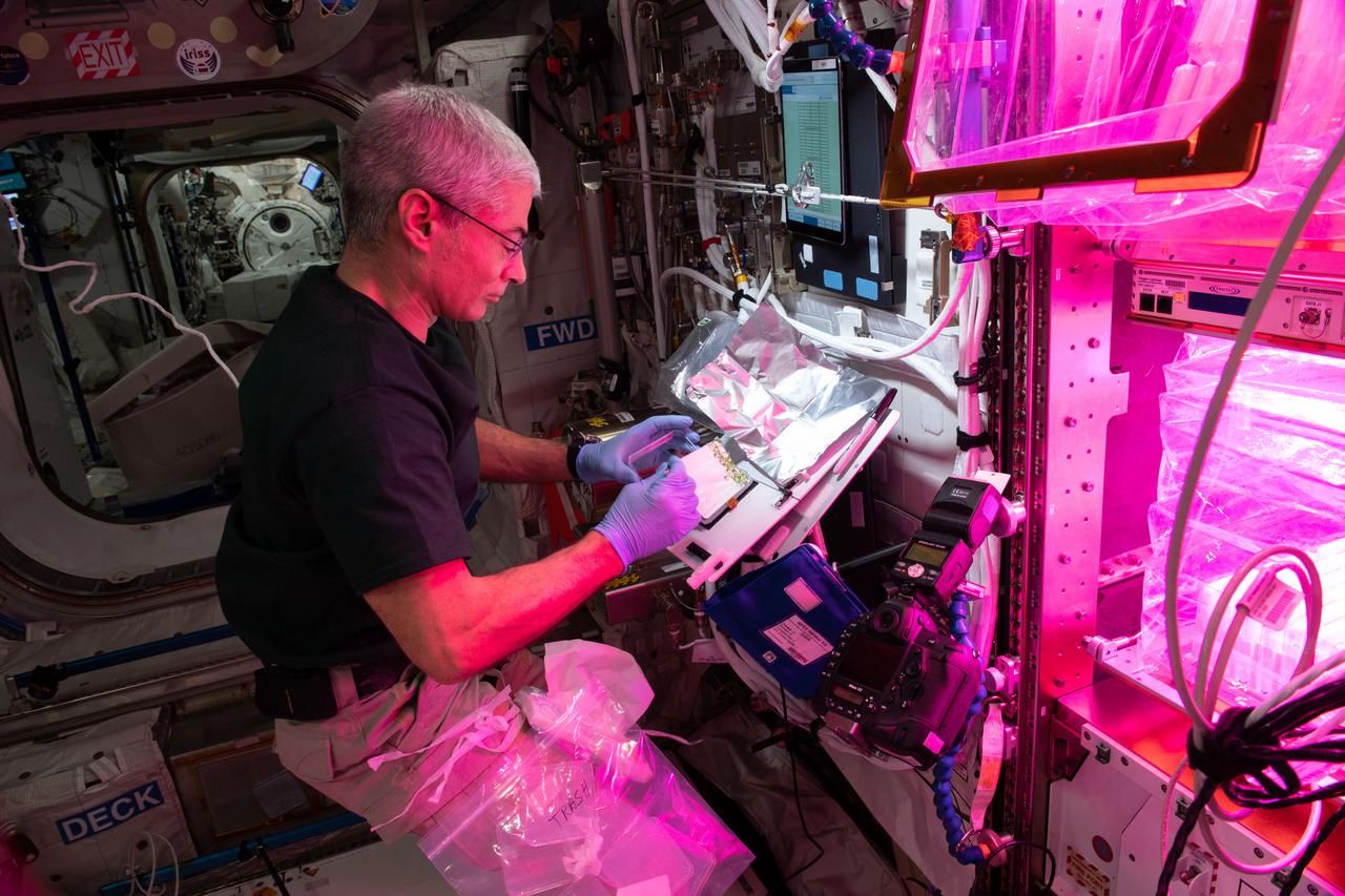 hodowla roślin NASA