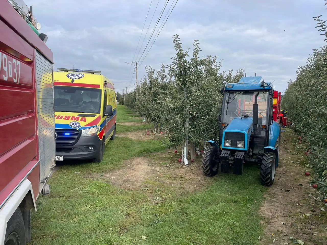 Zdjęcie dzięki uprzejmości SpottedAlert.pl