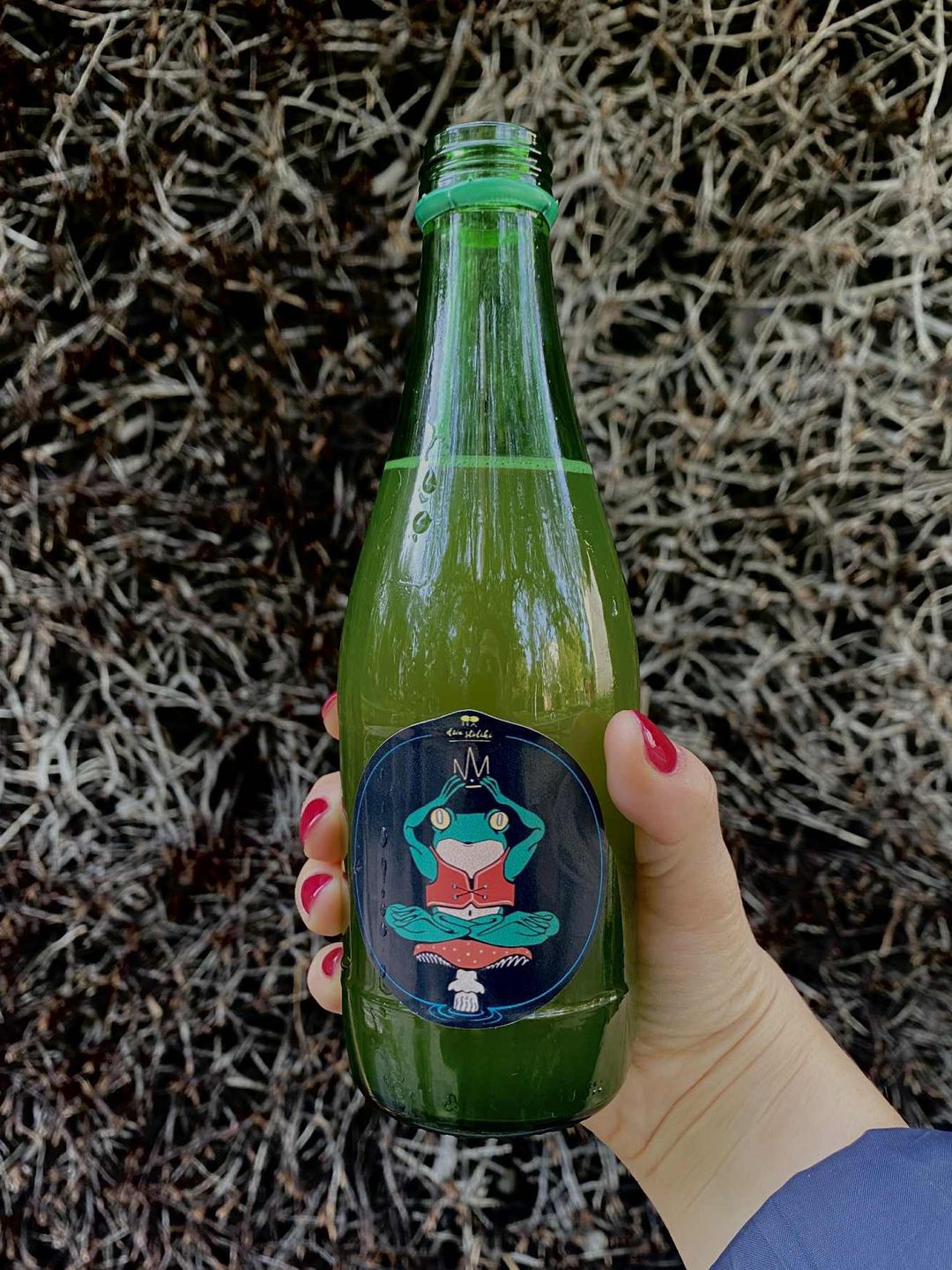 Kombucha własnego wyrobu