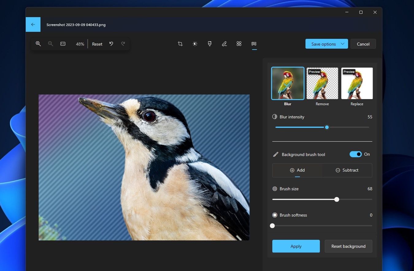 Windows 11 zdjęcia tło