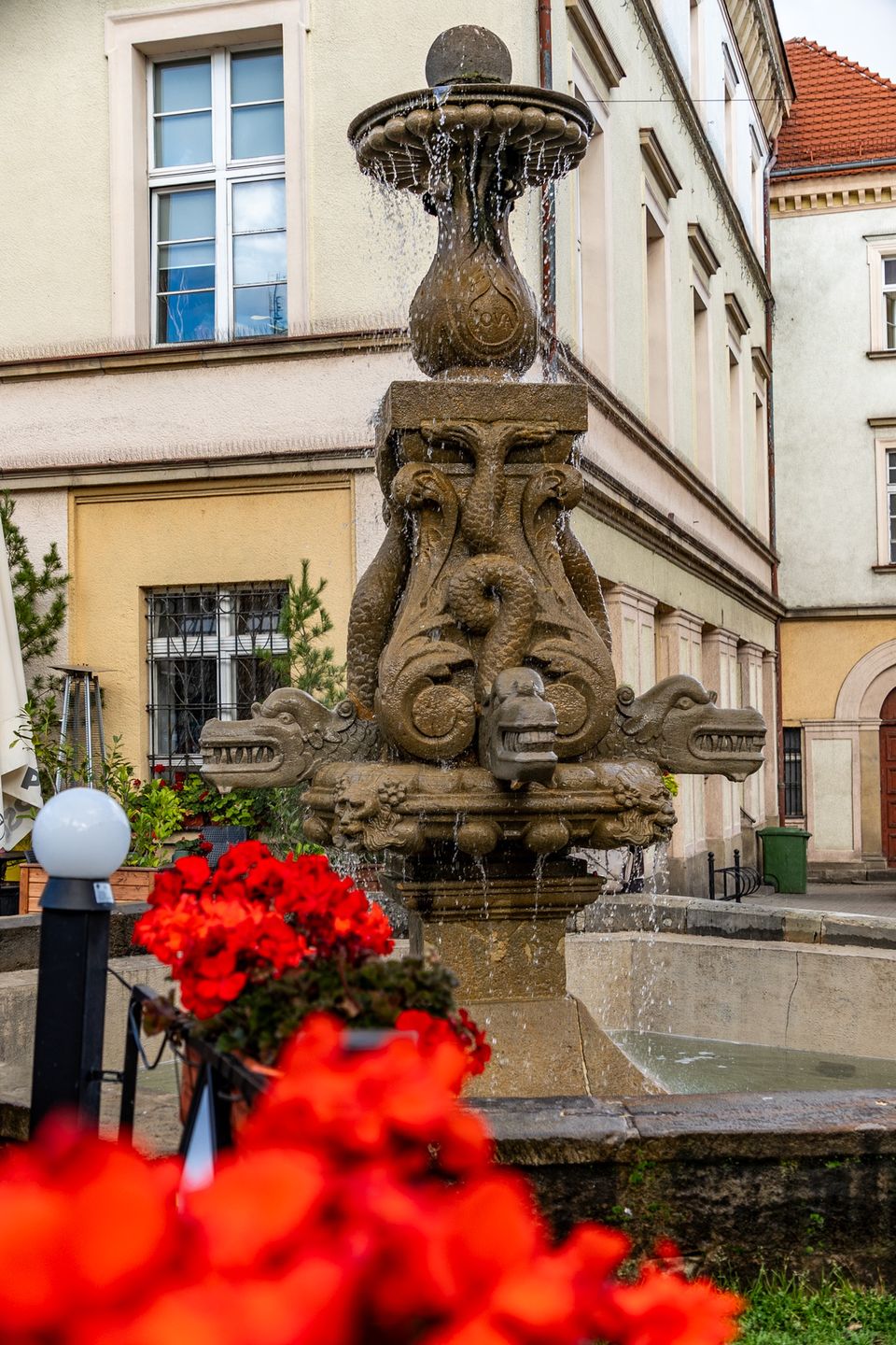 Złotoryja, Fontanna Delfina