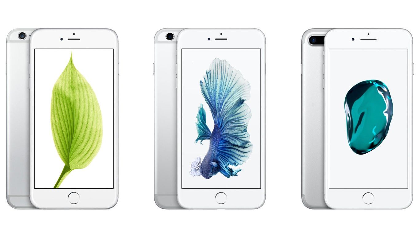 iPhone 6