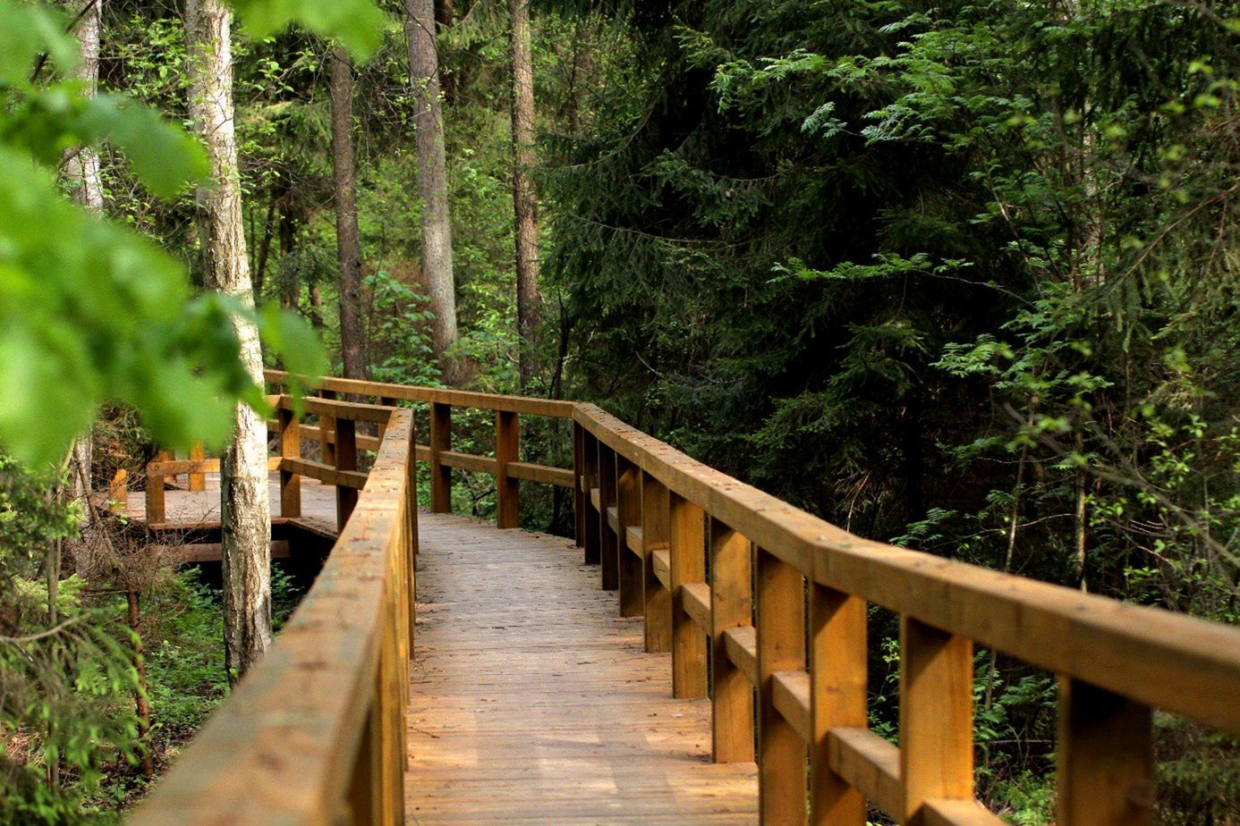 Blisko natury i po królewsku, czyli Królewskie Źródła