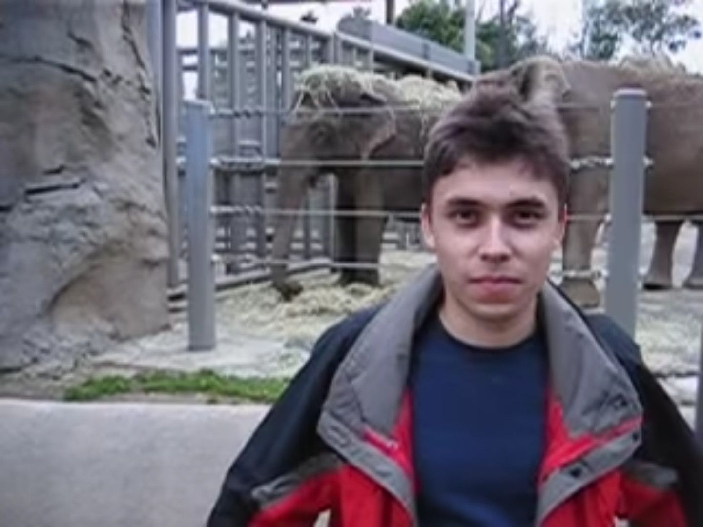 Obraz