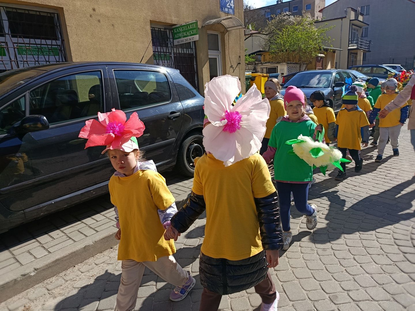 Ostrowiecka Ekobrygada wysiała miejską łąkę