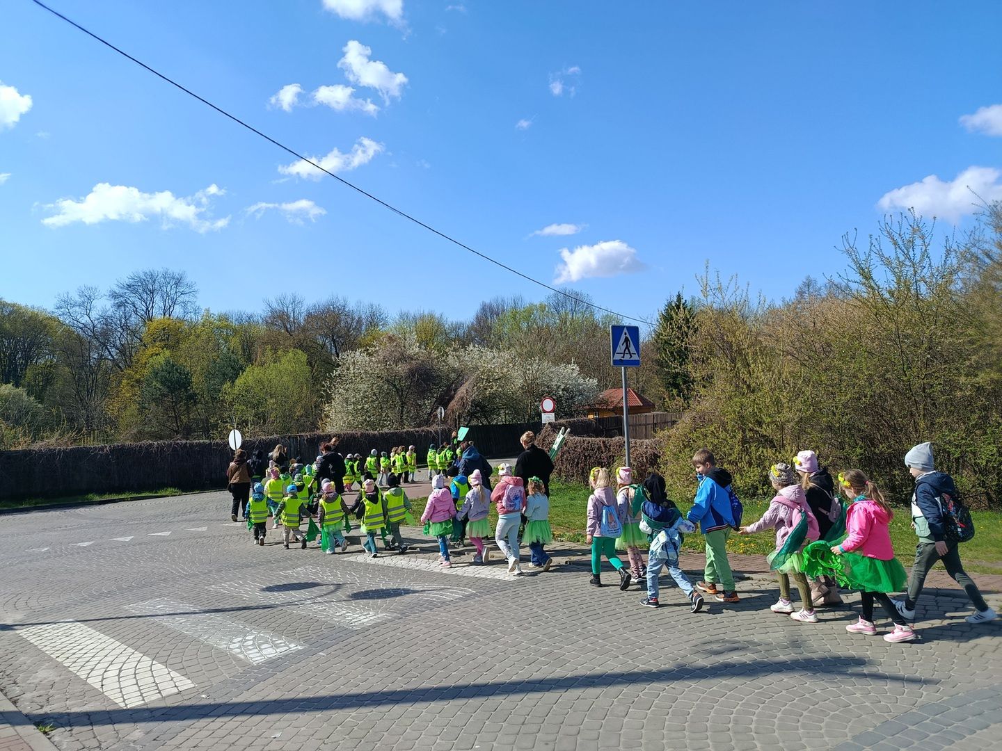 Ostrowiecka Ekobrygada wysiała miejską łąkę