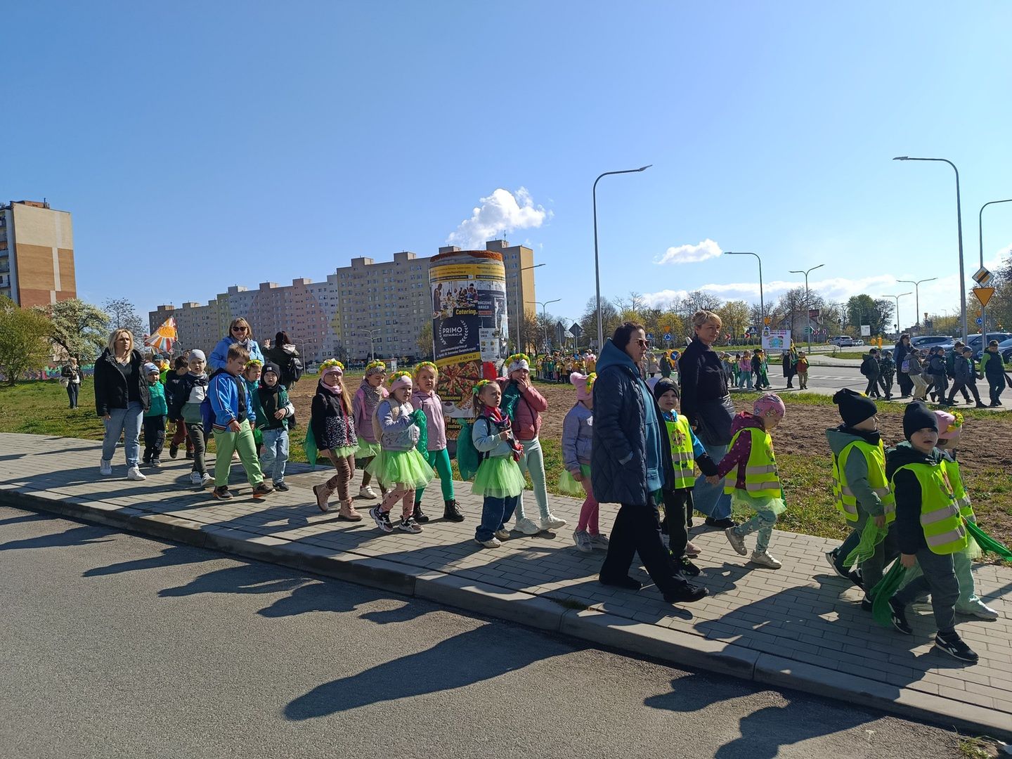 Ostrowiecka Ekobrygada wysiała miejską łąkę