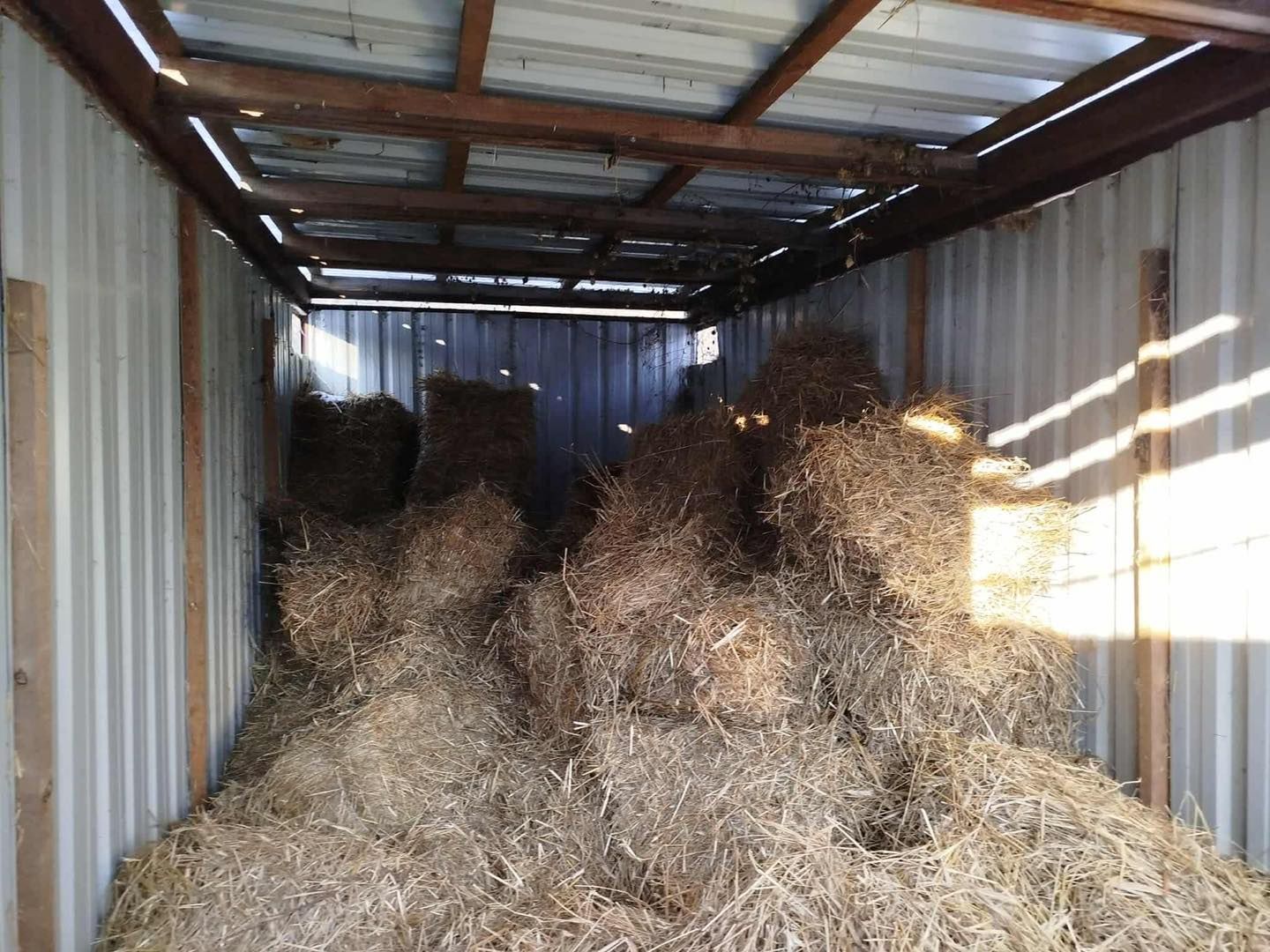 Pomoc dla schroniska