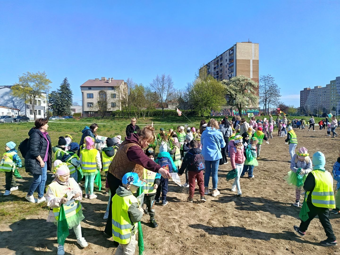 Ostrowiecka Ekobrygada wysiała miejską łąkę