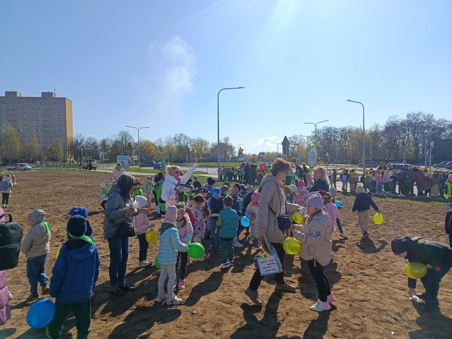 Ostrowiecka Ekobrygada wysiała miejską łąkę