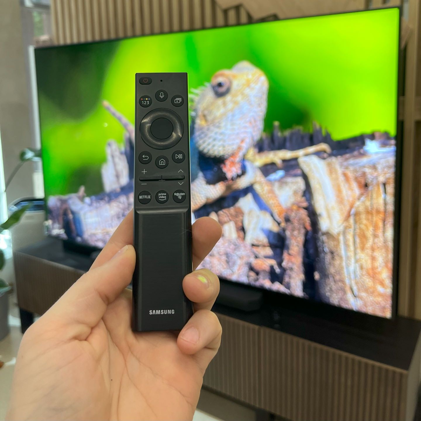Samsung Neo QLED 4K 98QN90A - pilot