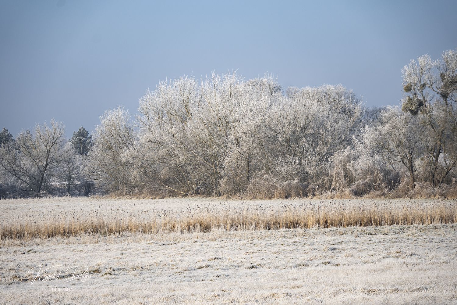 Mróz, zima, Gwda, Piła