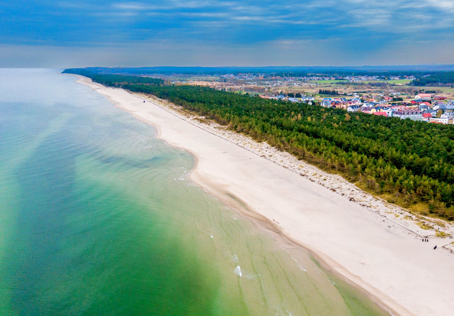Karwia