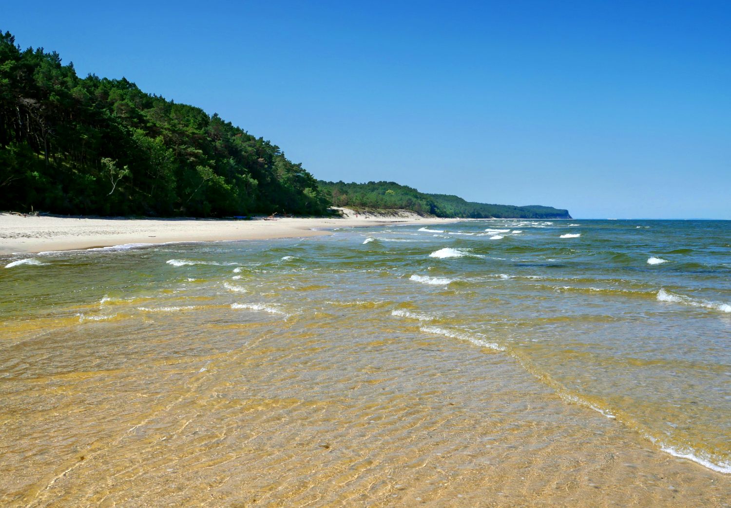 Plaża Wisełka