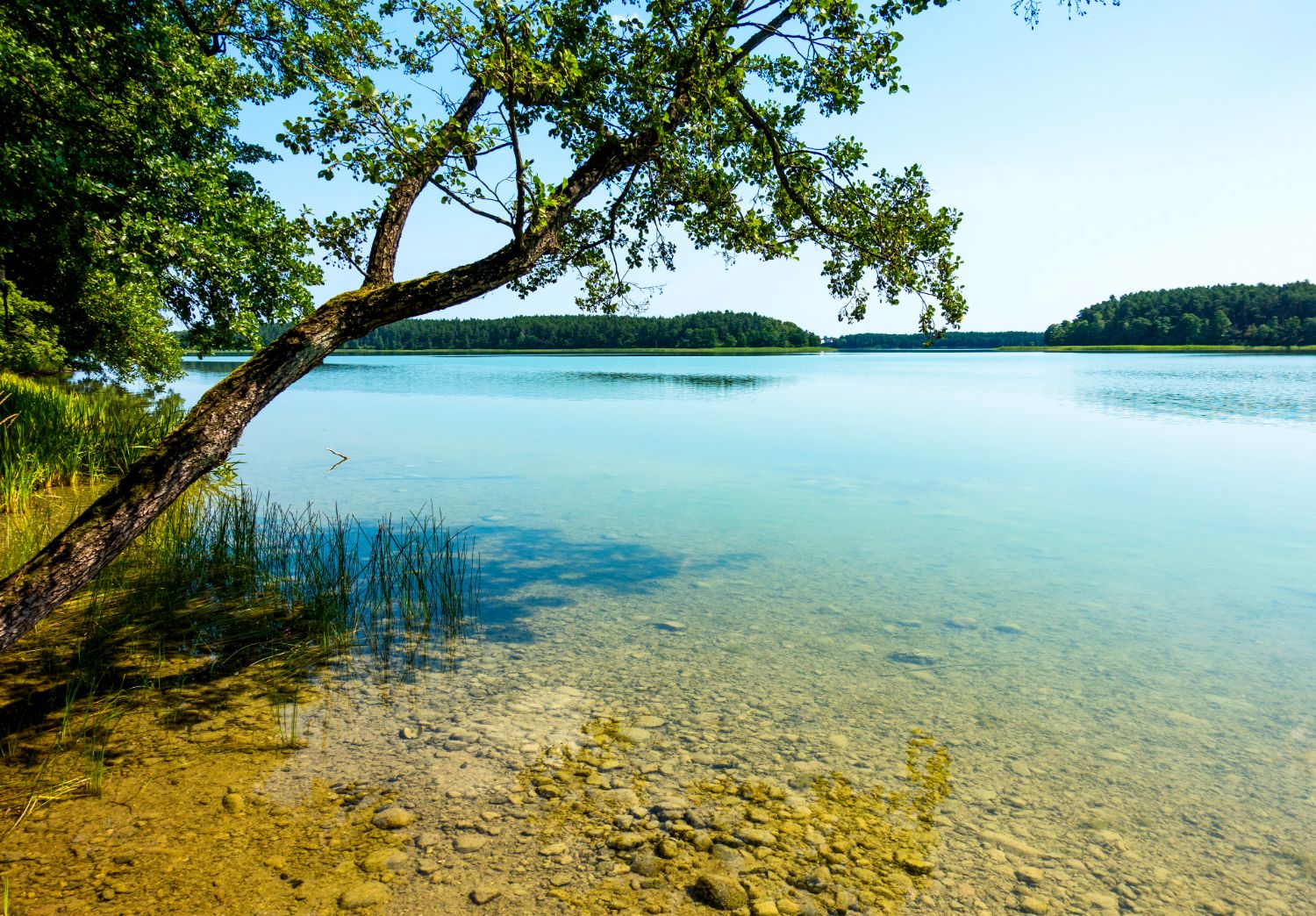 Jezioro Wdzydze