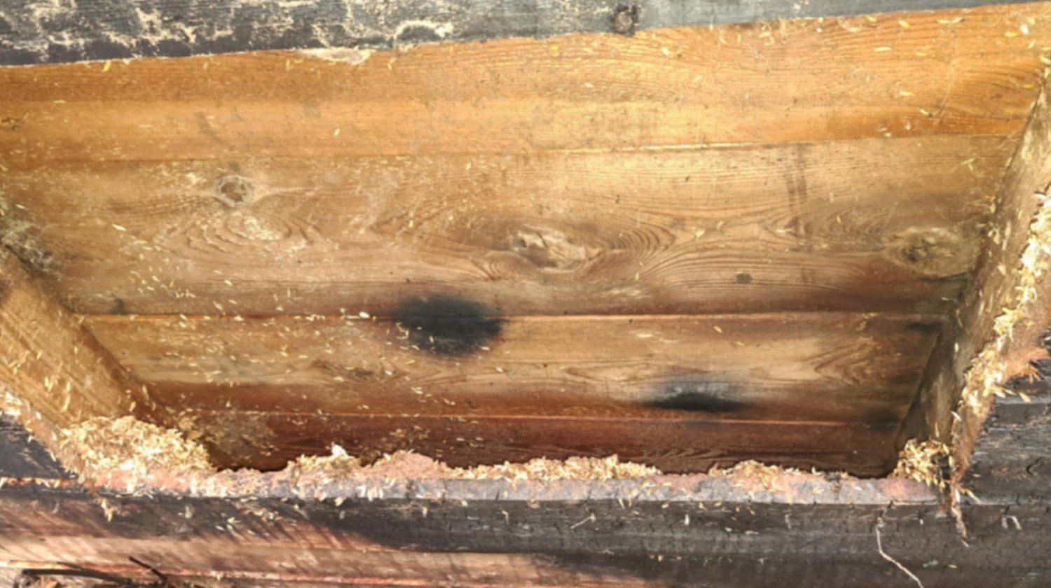 Pomóżmy rodzinie z Woźnik