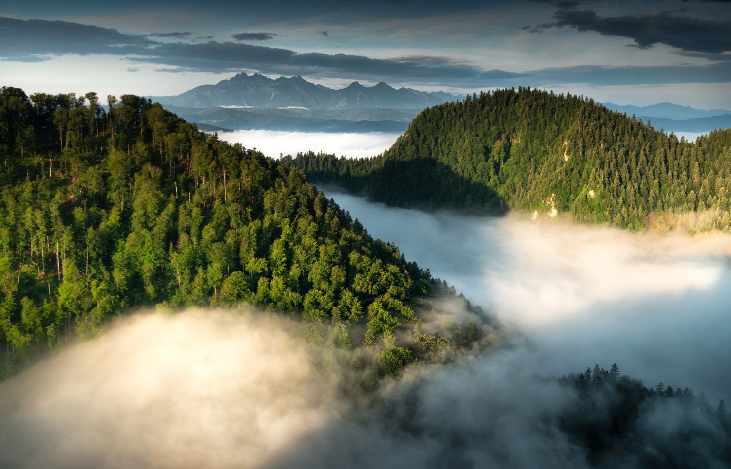 Panorama z Sokolicy w Pieninach