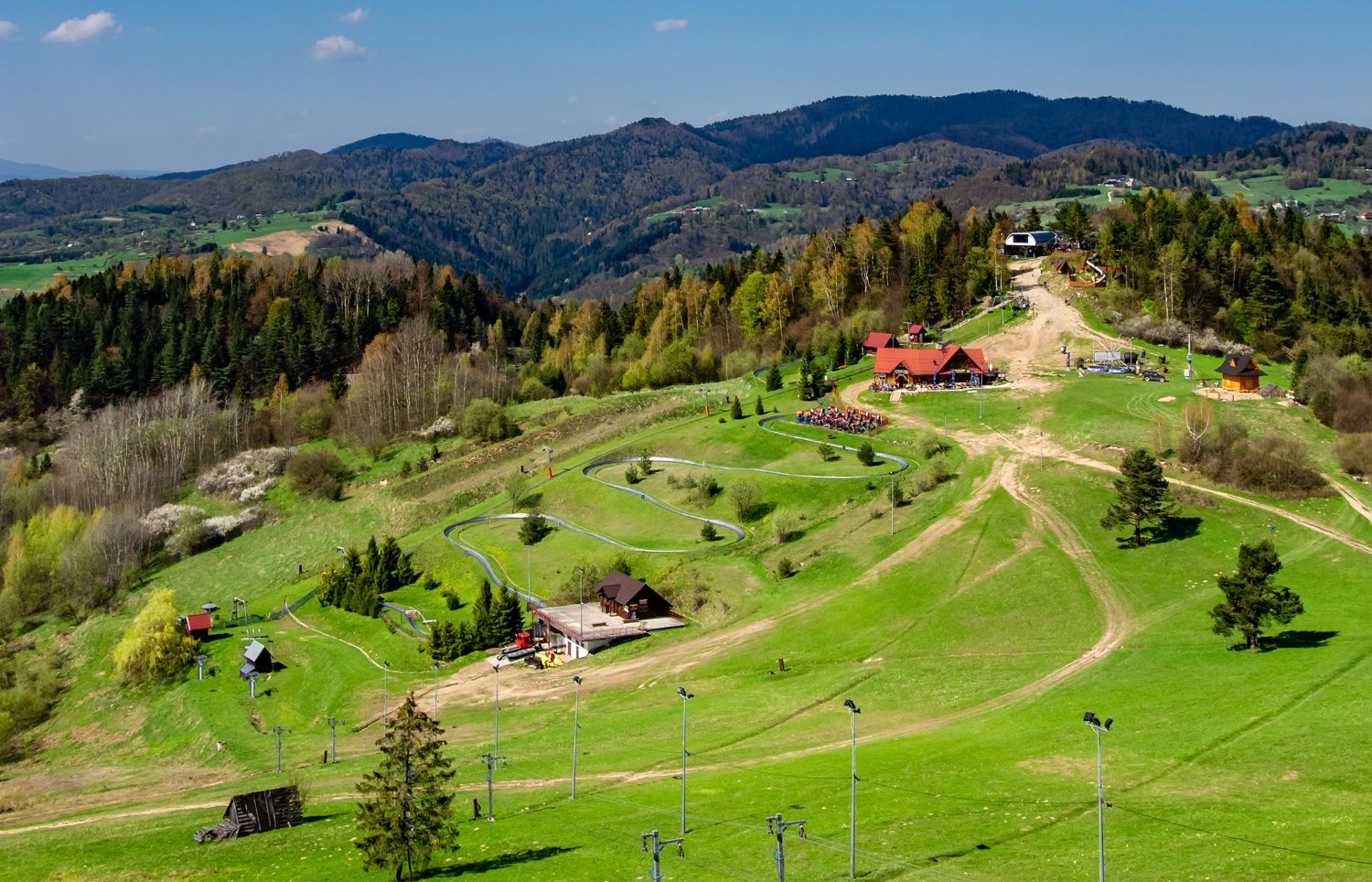 Palenica