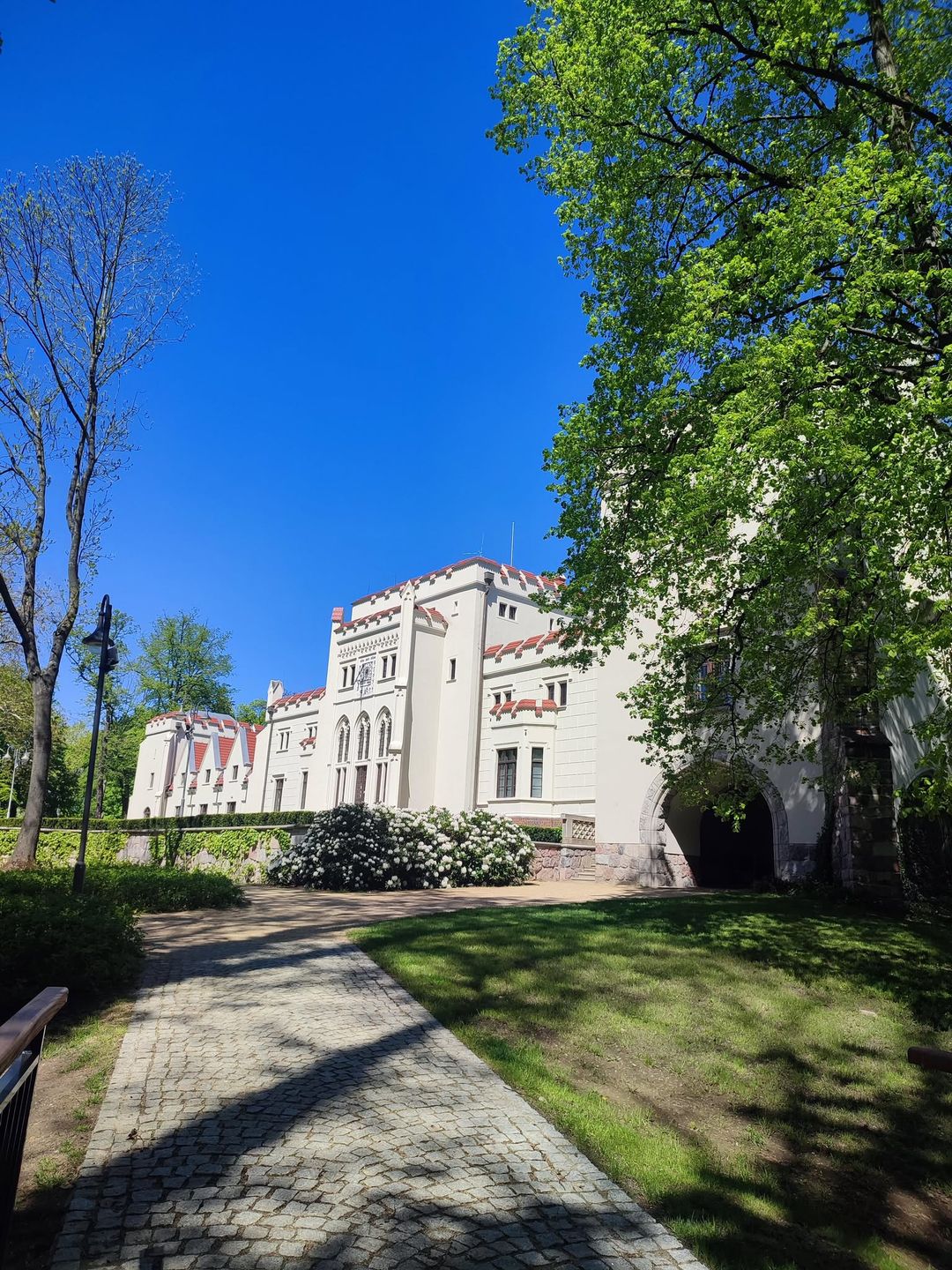 Pałac Radolińskich w Jarocinie, Jarocin, pałac