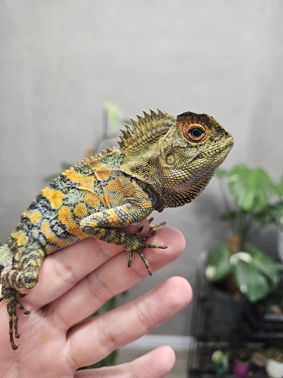 Targi terrorystyczne 