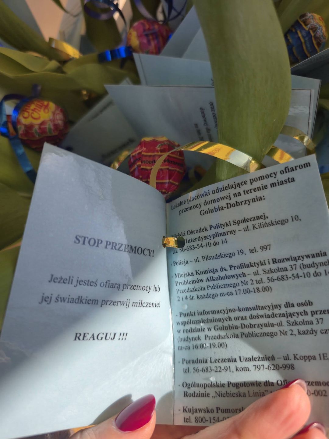 Akcja Stop Przemocy w Golubiu-Dobrzyniu