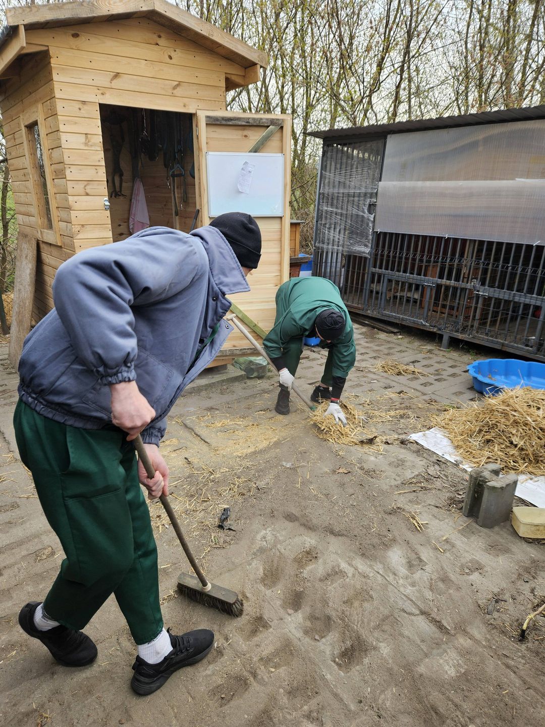 Prace na rzecz czworonogów