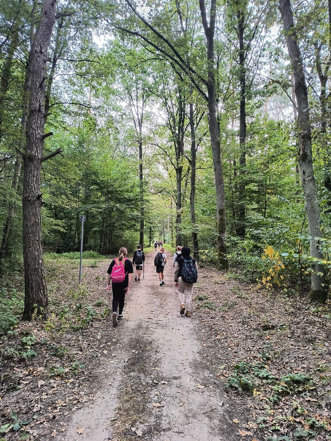 Bieg rodzinny i atrakcje 
