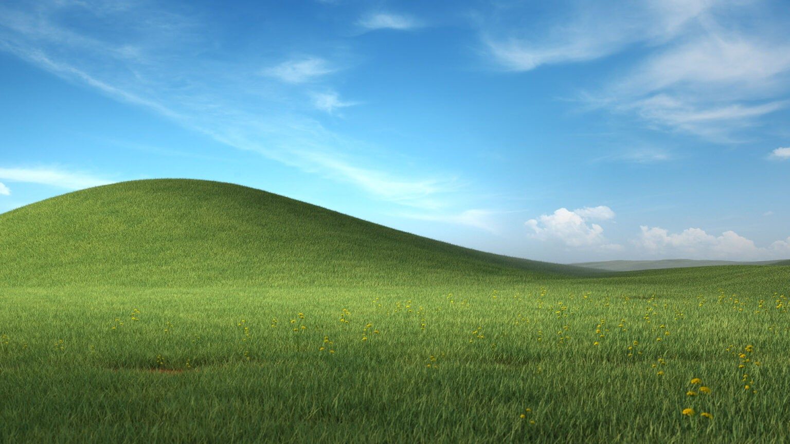 Tło do Microsoft Teams z Windows XP