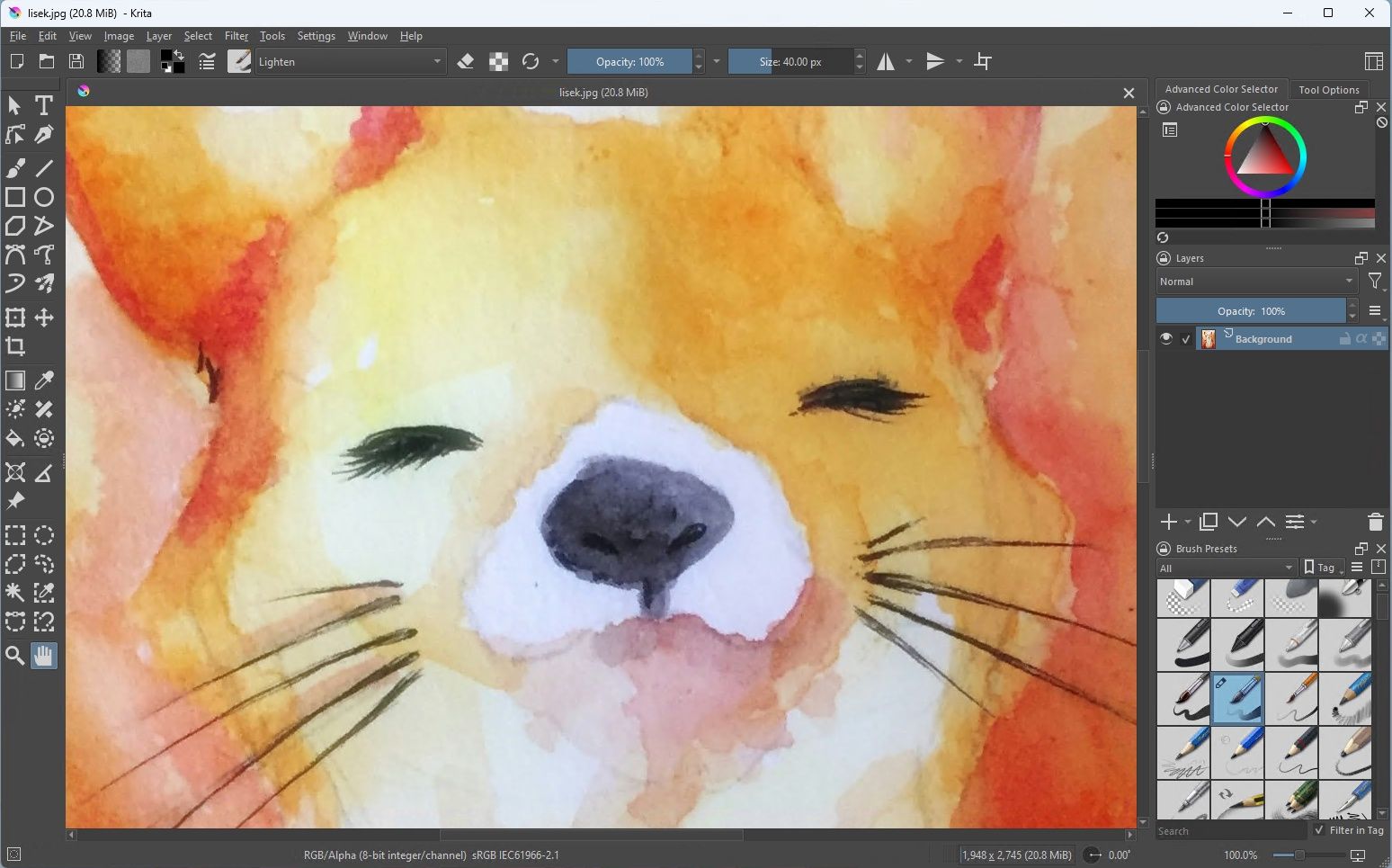 Krita