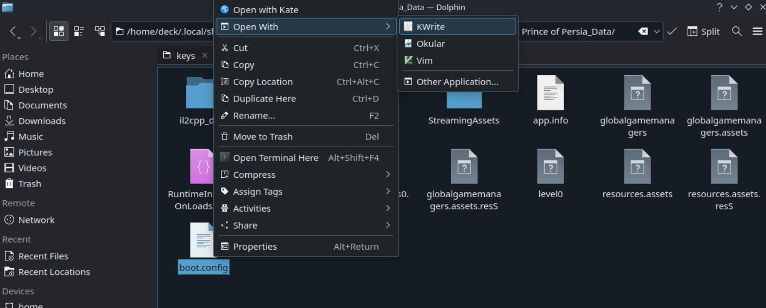 The Rogue Prince of Persia Steam Deck