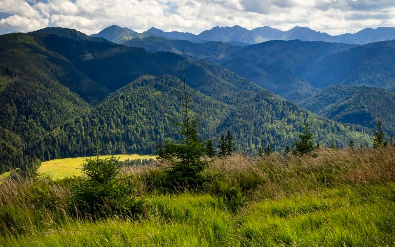 Tatrzańska panorama z Magury Witowskiej