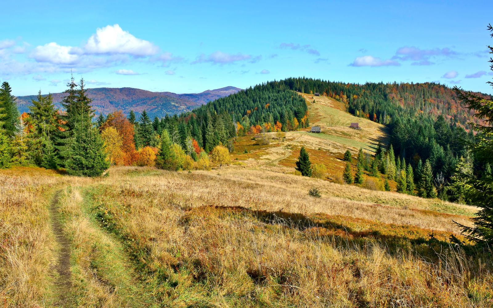 Jesienny krajobraz w Gorcach