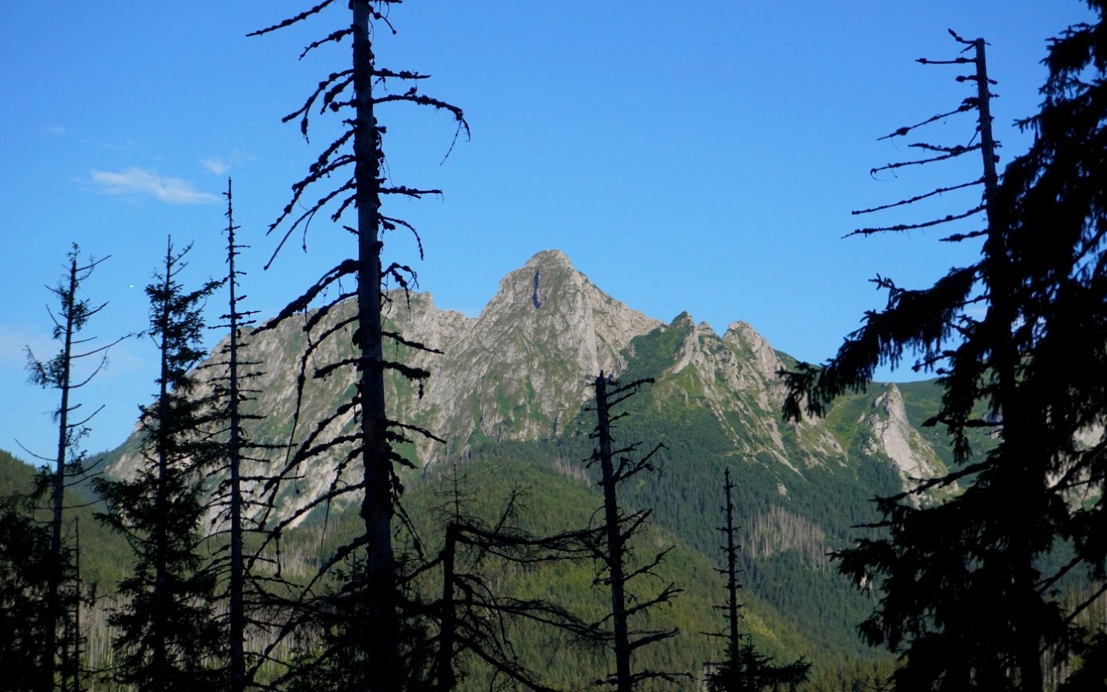 Giewont z Wyżniego Stanikowego Siodła