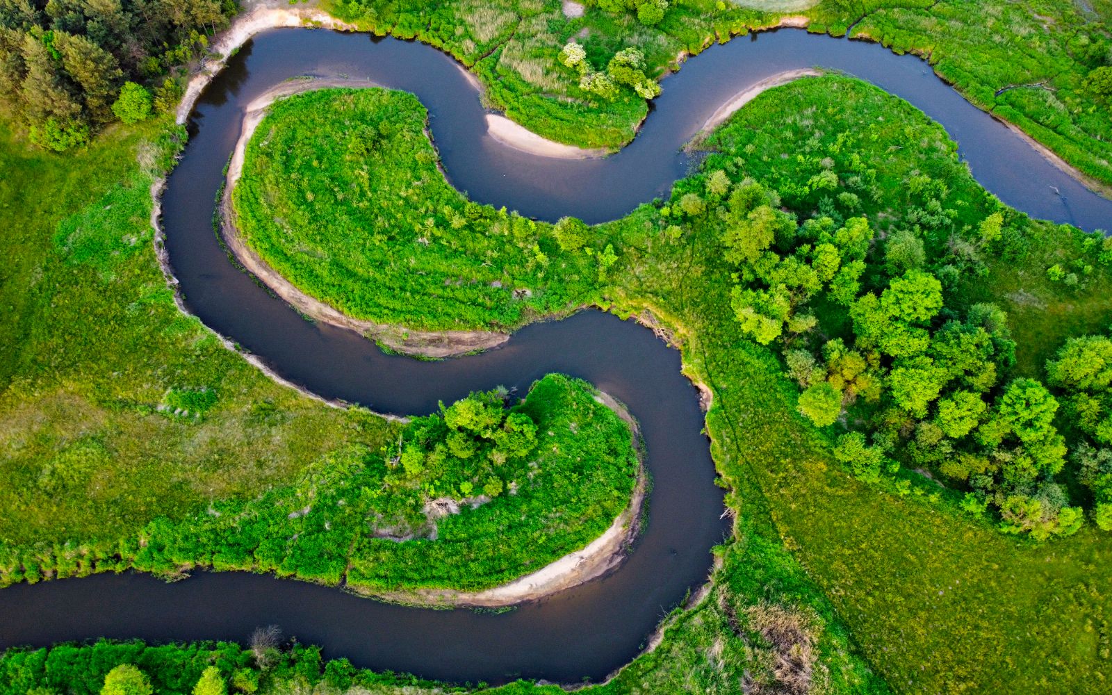 Meandrująca Pilica