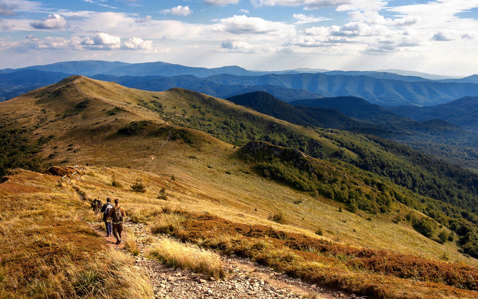 Wyjazd w Bieszczady jesienią to zawsze dobry pomysł.