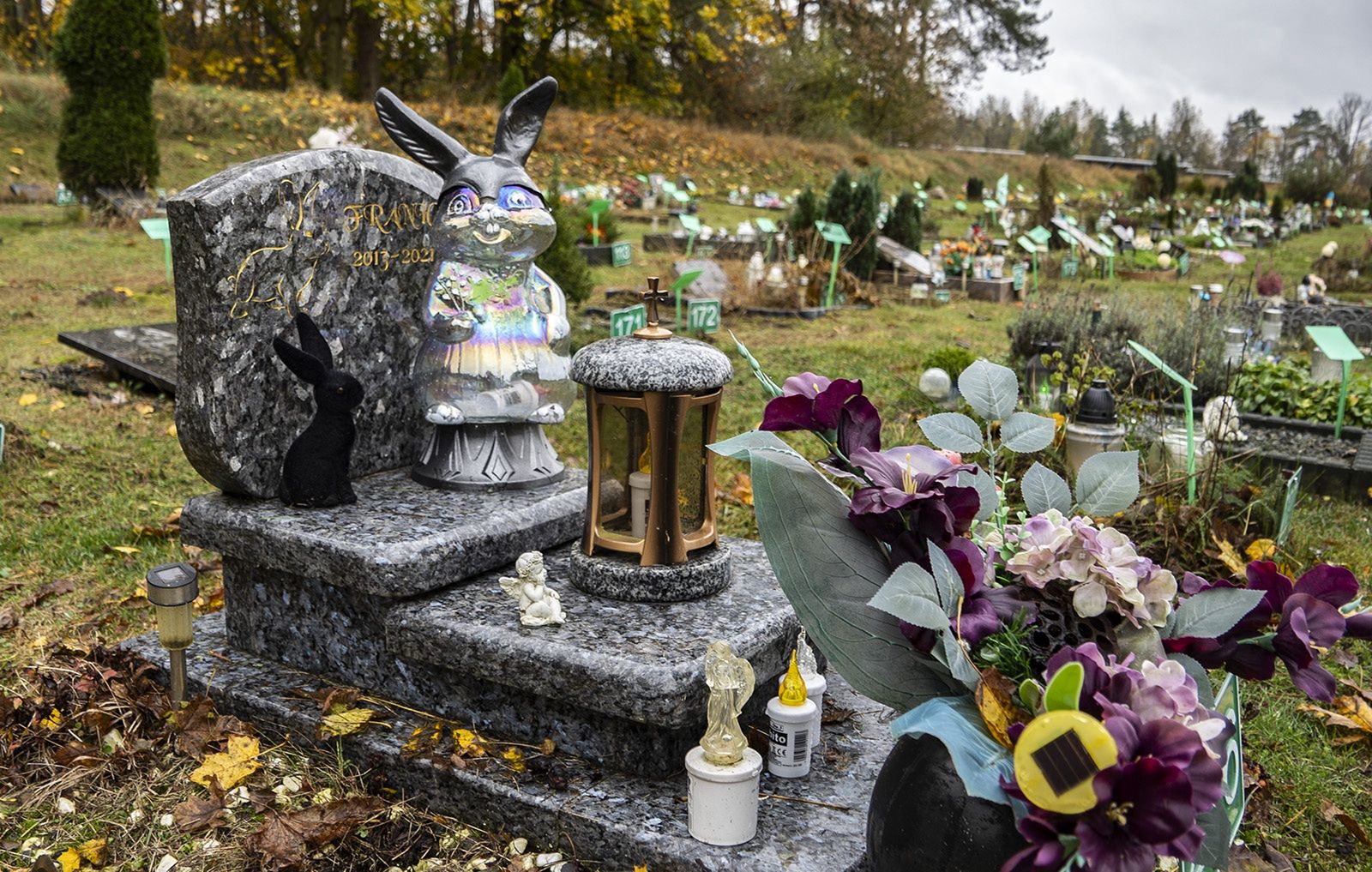 Cmentarz dla zwierząt w Pile - Leszkowie. 