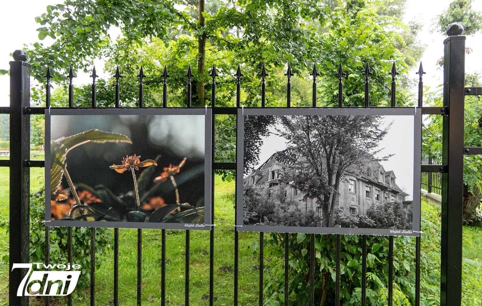 Wystawa fotografii na płocie Parku Miejskiego w Pile