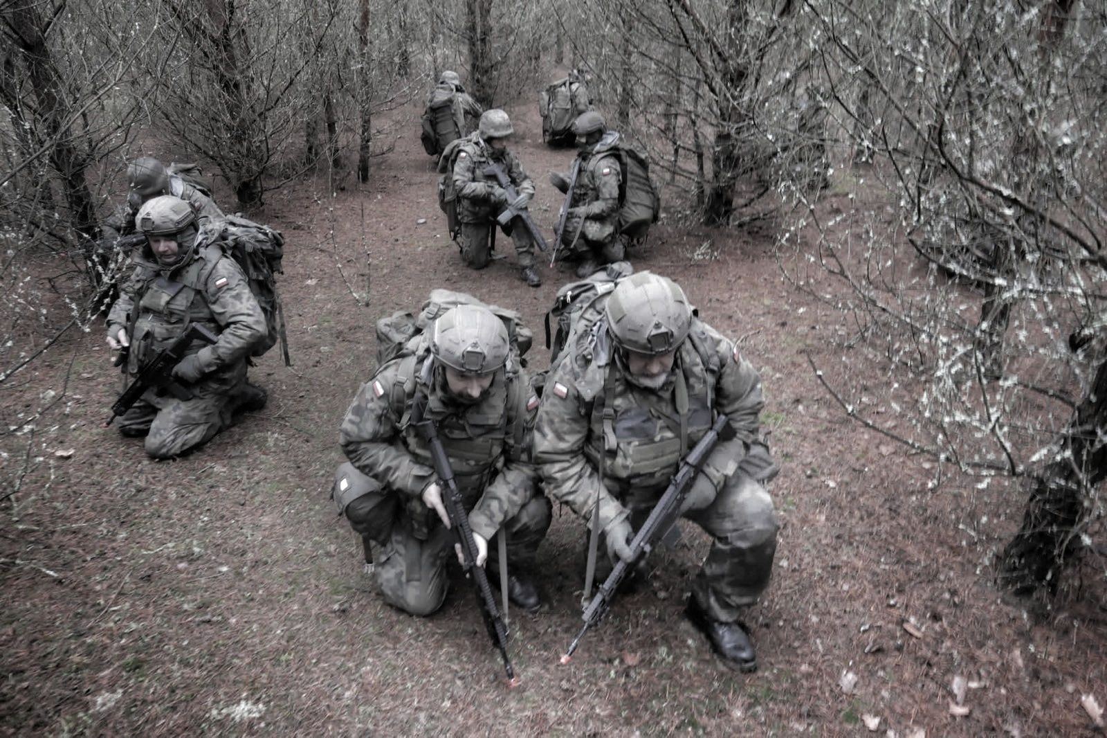 żołnierze, terytorialsi