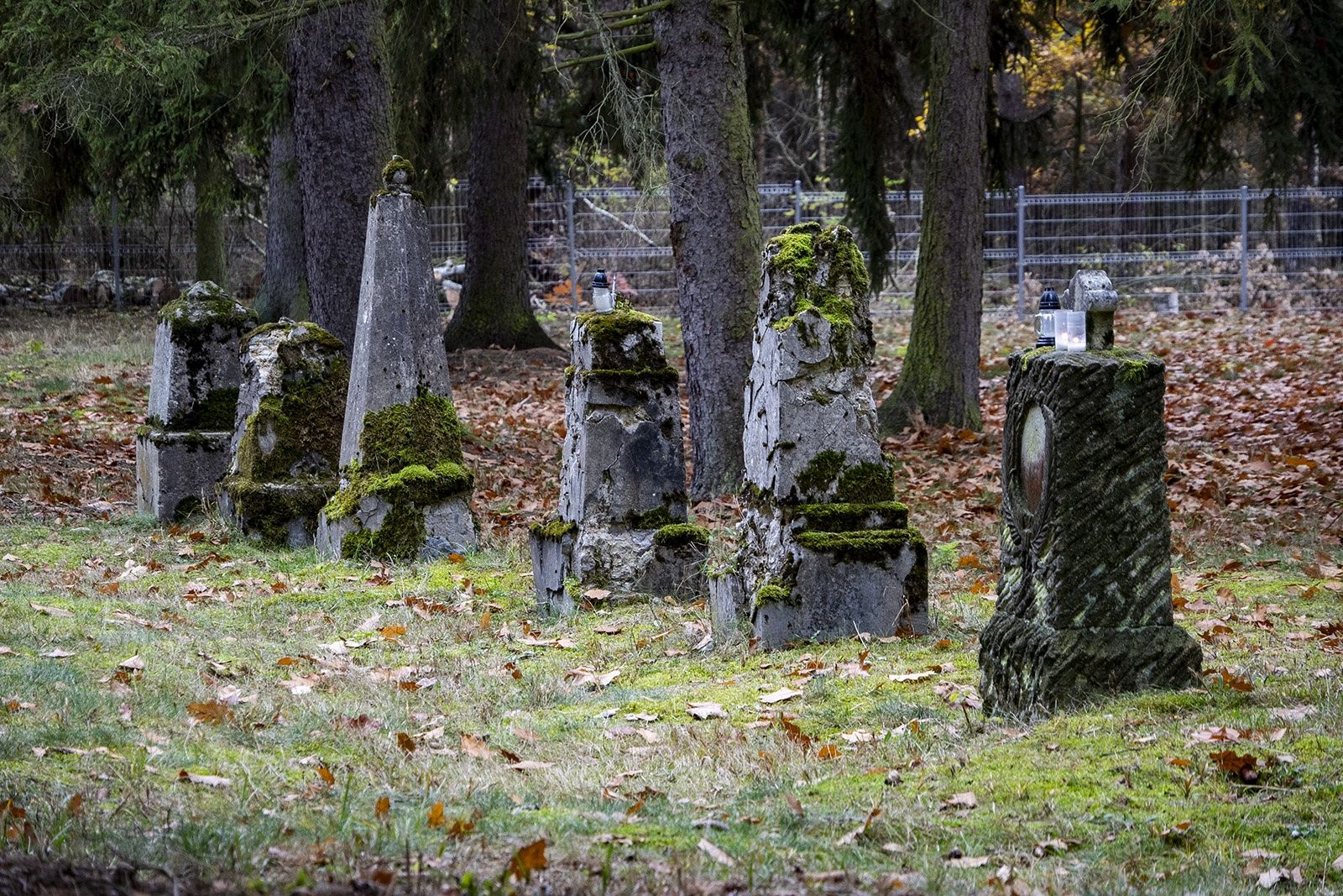 Cmentarz wojenny w Pile-Leszkowie. 