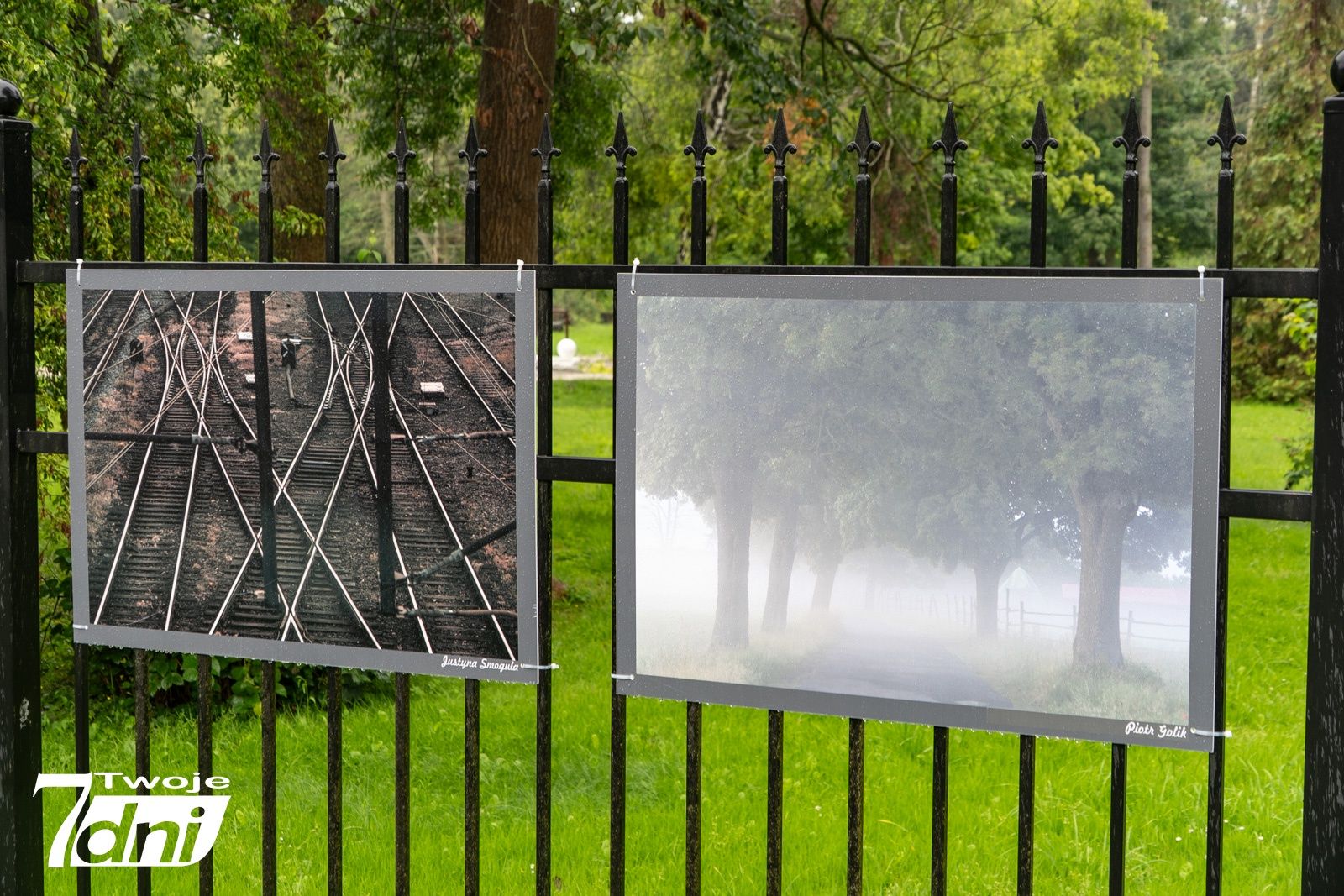 Wystawa fotografii na płocie Parku Miejskiego w Pile