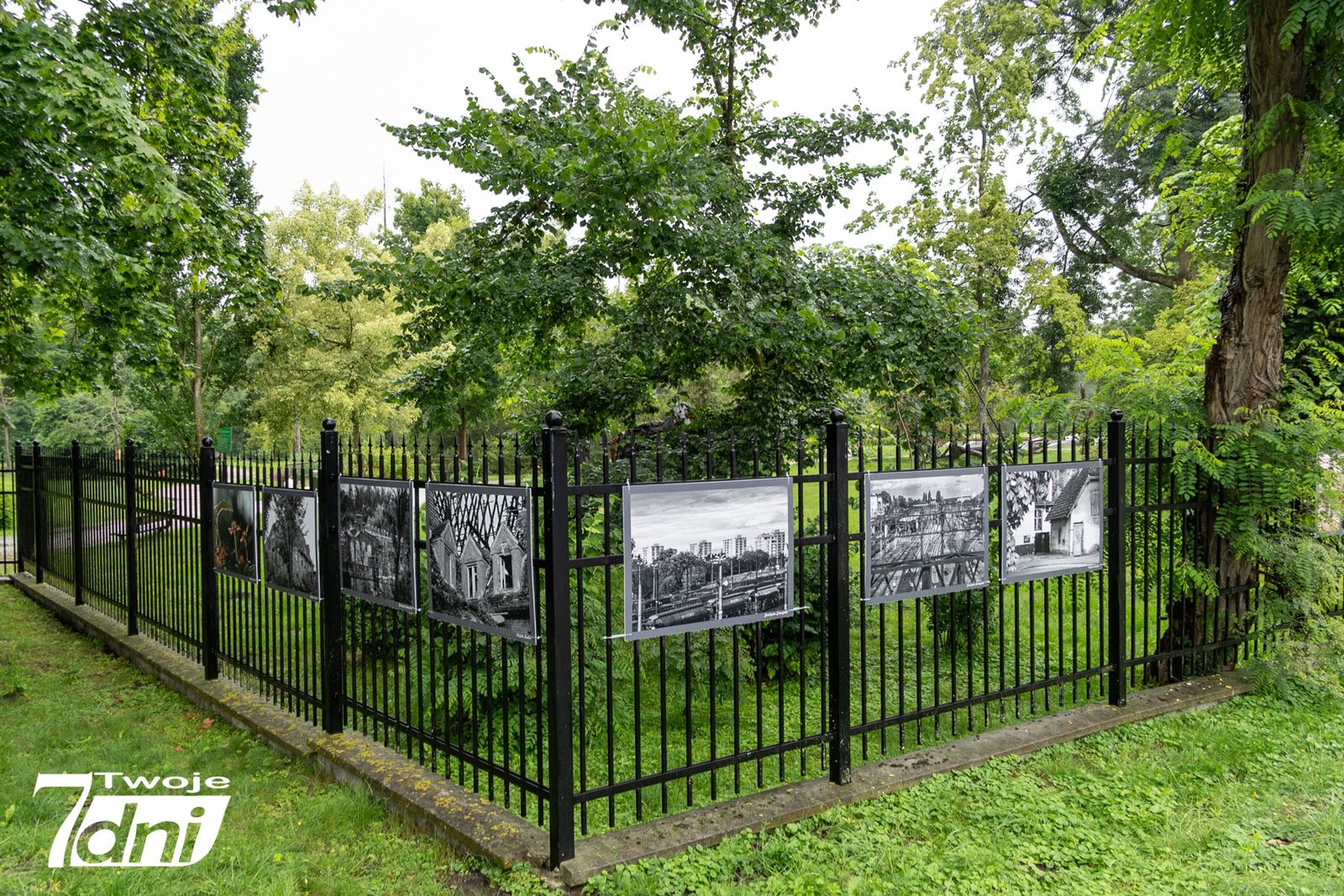 Wystawa fotografii na płocie Parku Miejskiego w Pile
