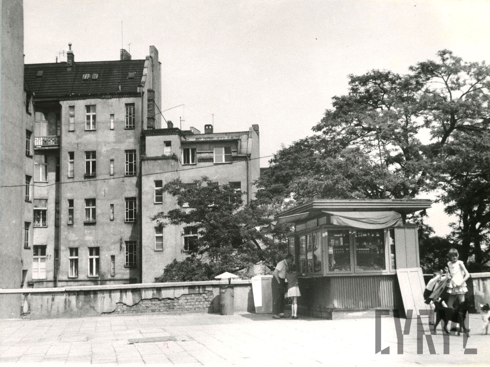 Wilda: Od średniowiecznej wsi do tętniącej życiem dzielnicy Pozn