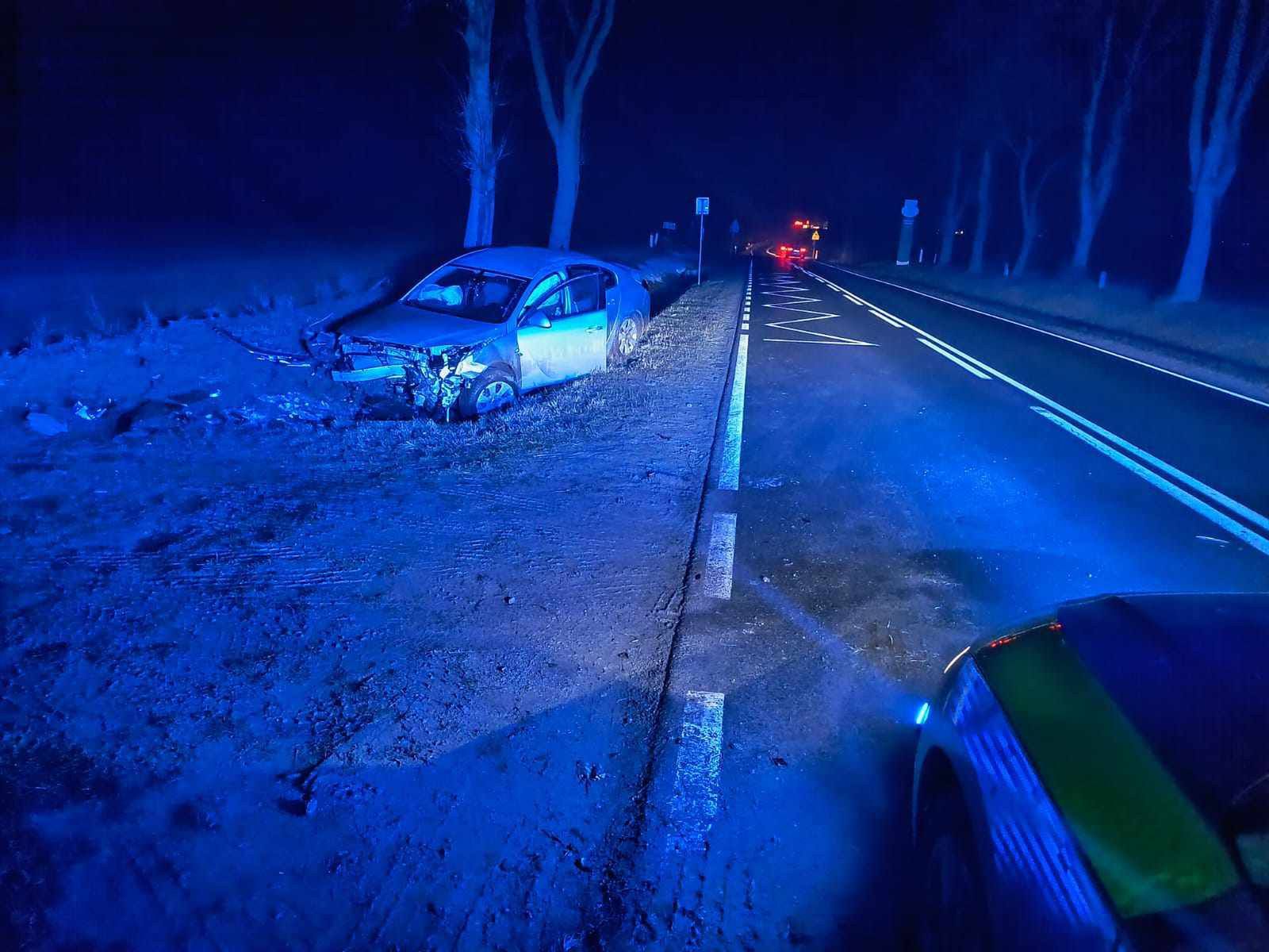 Kierowca chciał uniknąć zderzenia z sarną