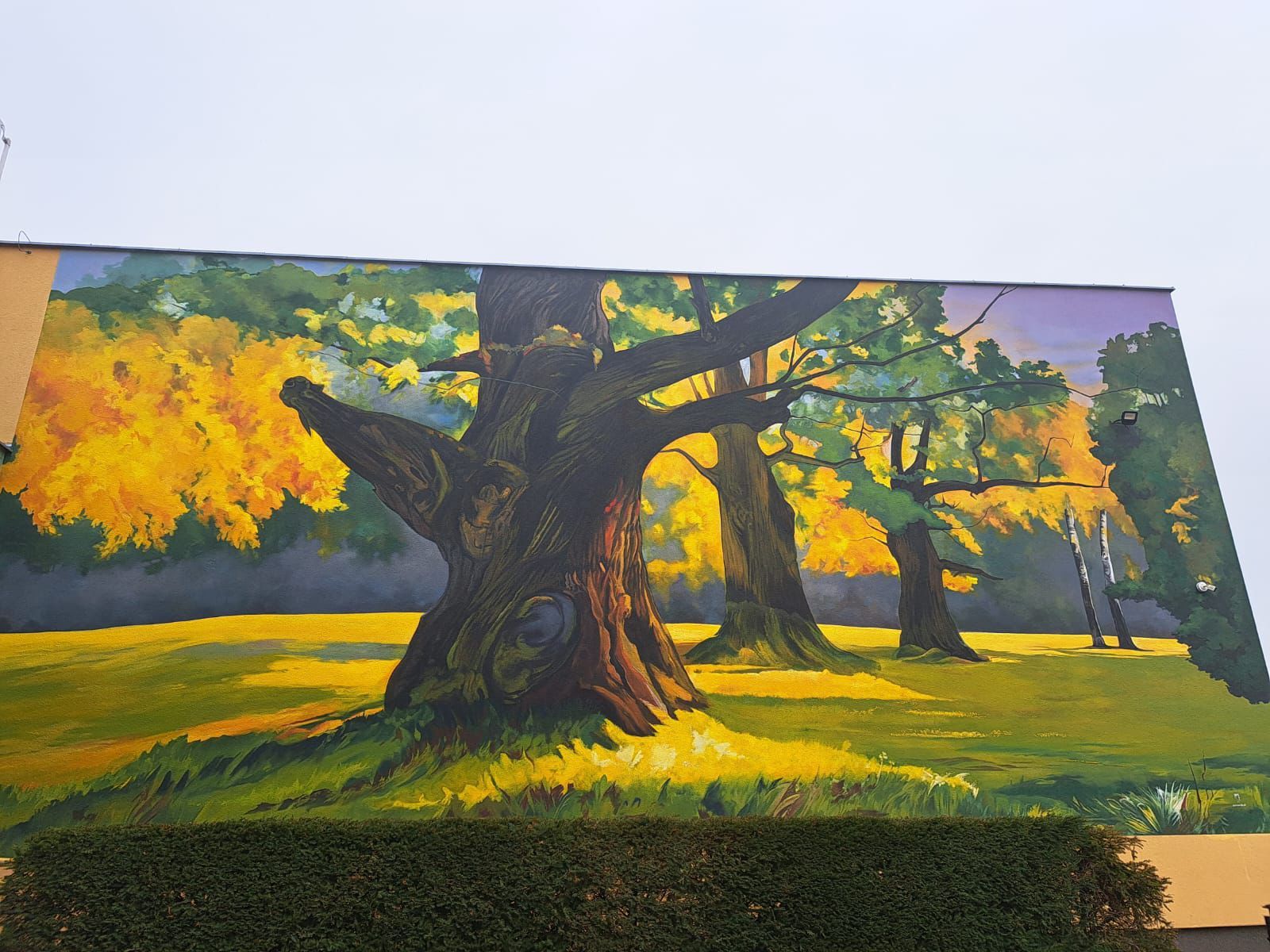 mural
